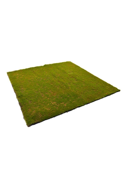 Tappeto di muschio artificiale 100x100cm - verde