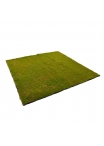 Tappeto di muschio artificiale 100x100cm - verde