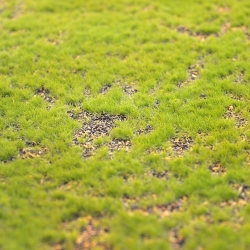 Tappeto di muschio artificiale 100x100cm - verde