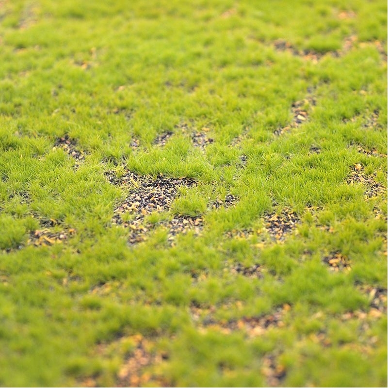 Tappeto di muschio artificiale 100x100cm - verde