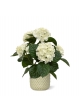 Pianta artificiale di Hortensia 40 cm crema in vaso