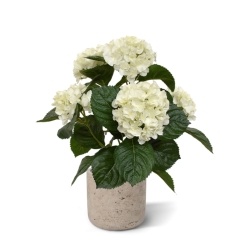 Pianta artificiale di Hortensia 40 cm crema in vaso
