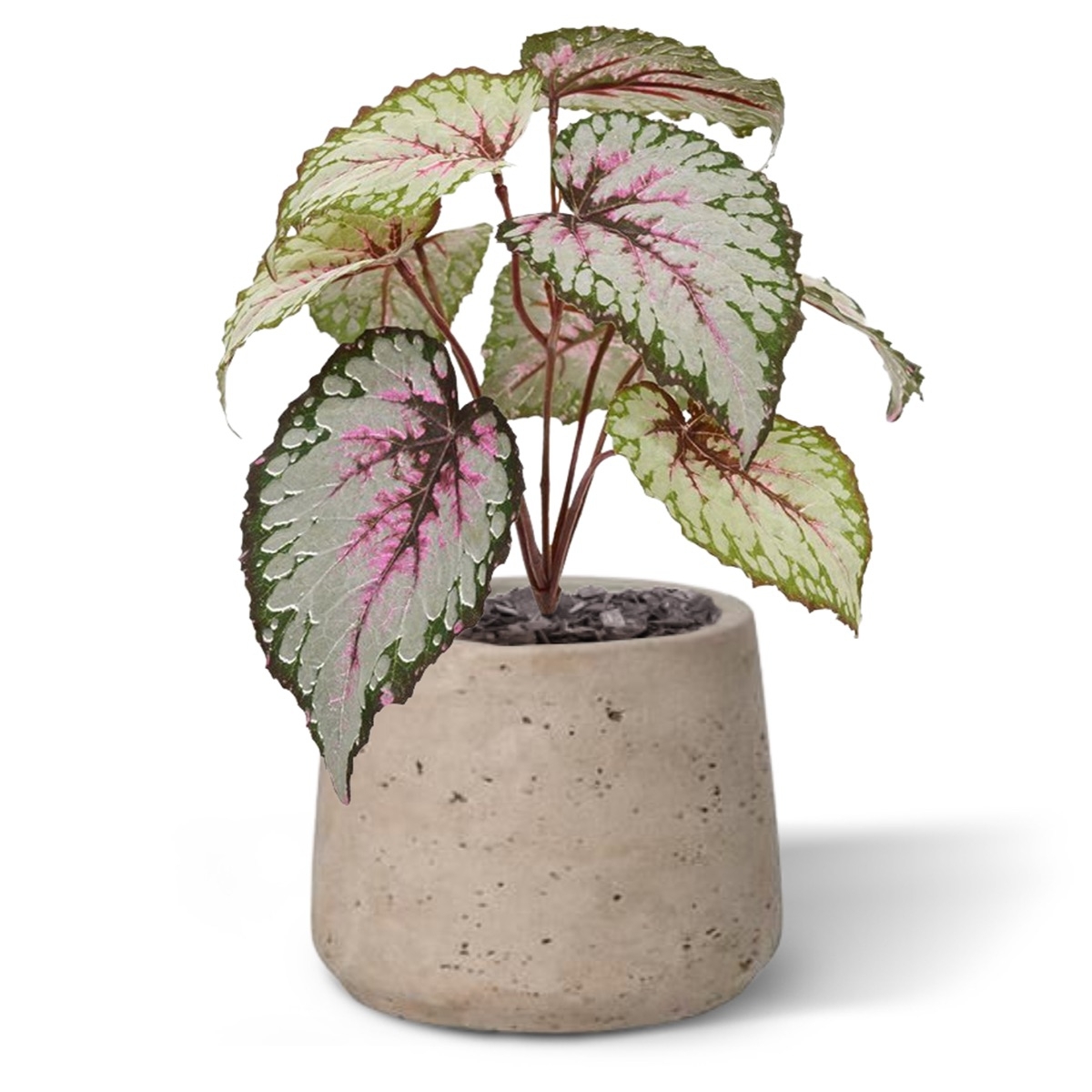 Bladbegonia kunstplant 25cm