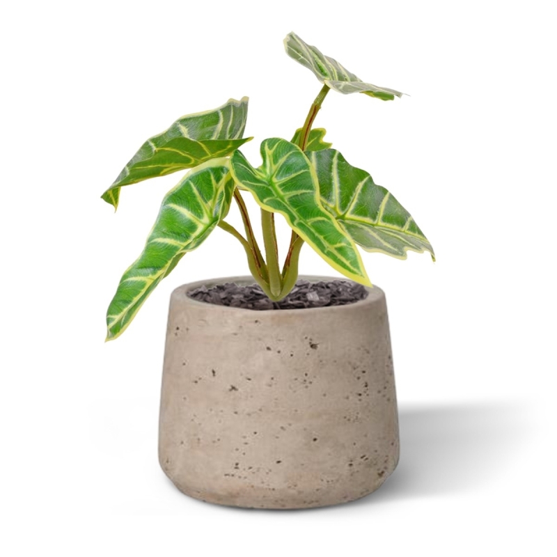 Bouquet di Mini Caladium artificiali 20 cm
