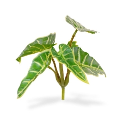 Bouquet di Mini Caladium artificiali 20 cm