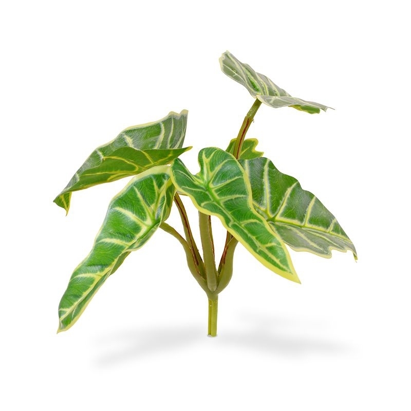Bouquet di Mini Caladium artificiali 20 cm