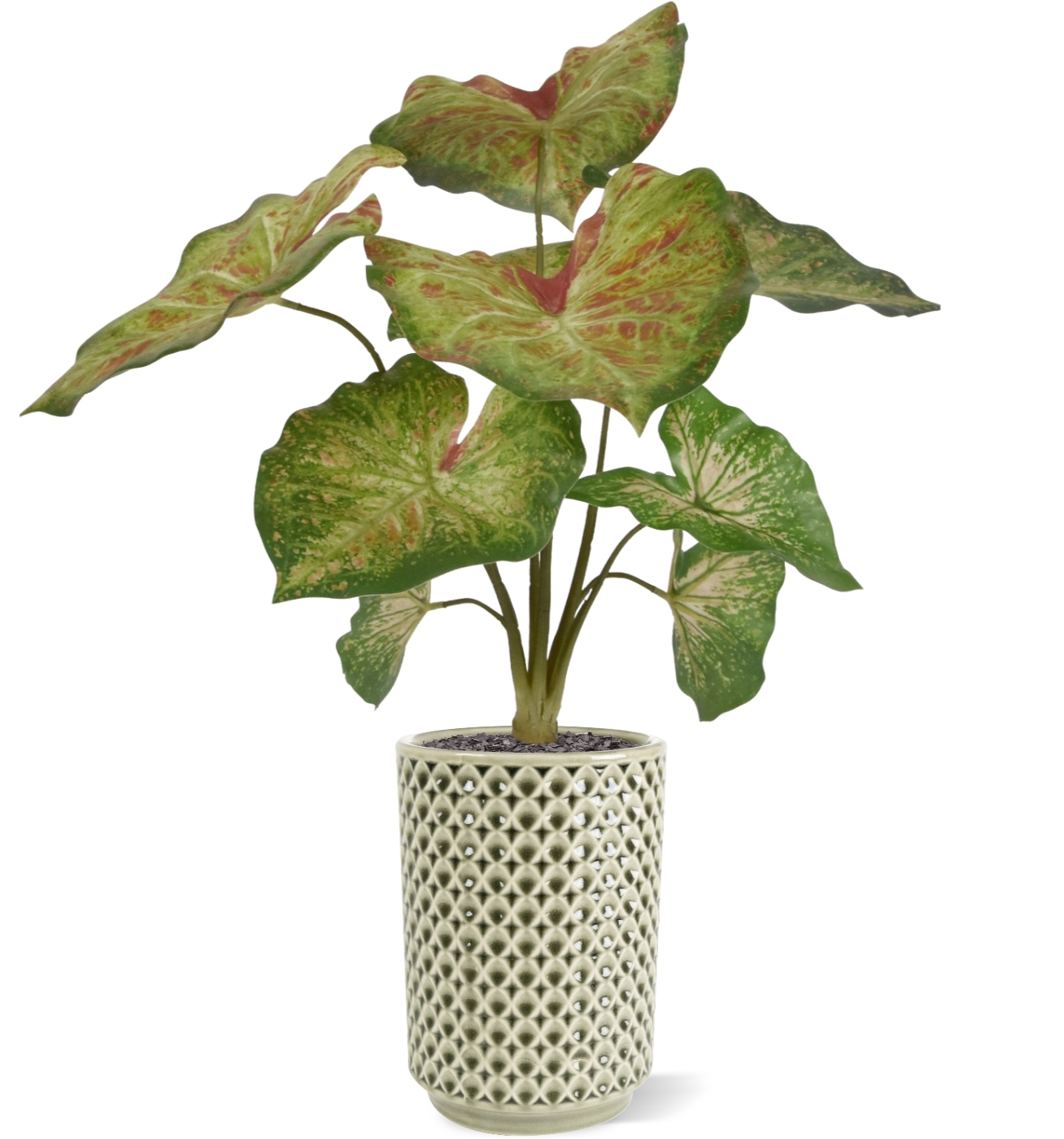 Caladium lampone pianta artificiale 40 cm