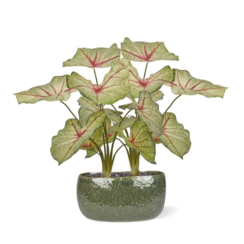 Caladium lampone pianta artificiale 40 cm