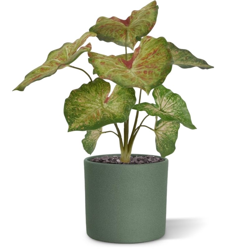 Caladium lampone pianta artificiale 40 cm