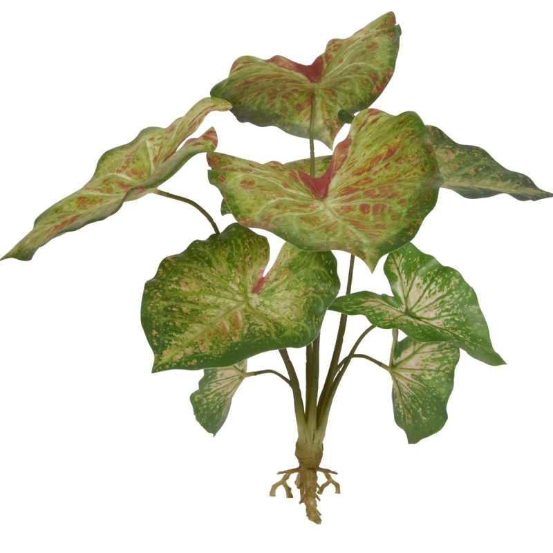 Caladium lampone pianta artificiale 40 cm