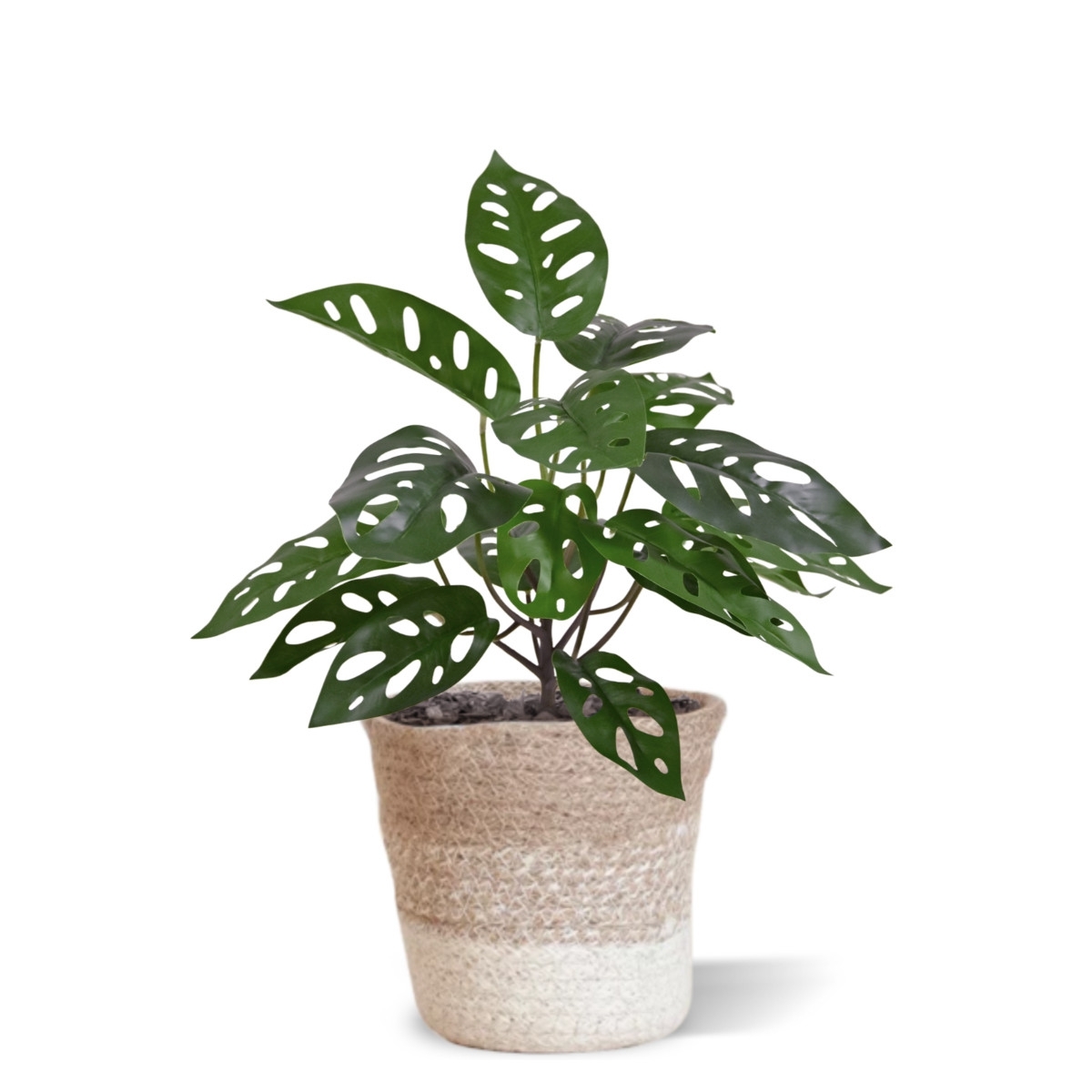 Monstera Adansonii Pianta artificiale 30 cm