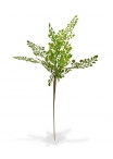 Ramo artificiale di Adiantum PL 50 cm