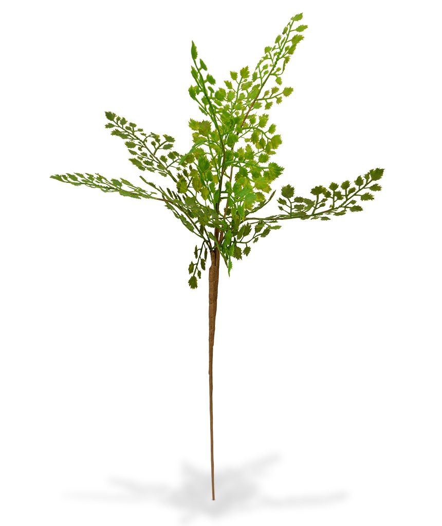 Ramo artificiale di Adiantum PL 50 cm