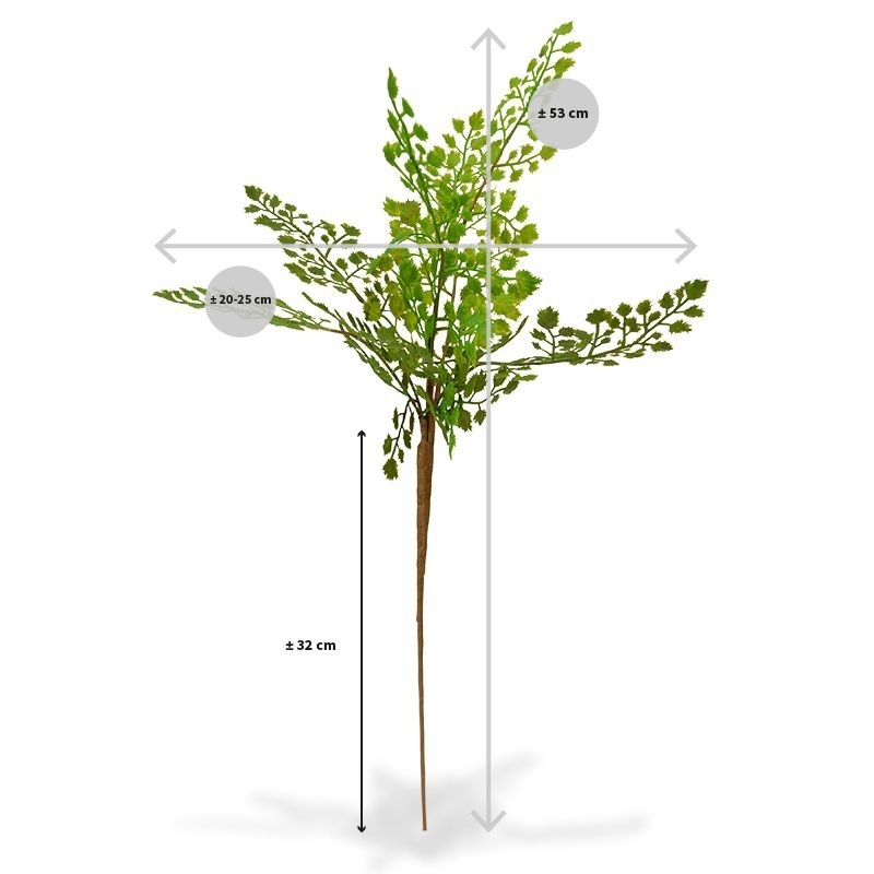 Ramo artificiale di Adiantum PL 50 cm