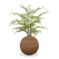 3x Asparago ramo artificiale 85 cm - fascio
