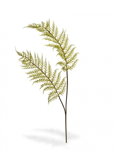 Ramo artificiale di felce PL x2 80 cm