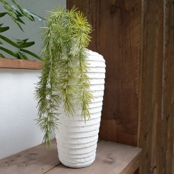 Asparago artificiale Spengeri ramo 40 cm