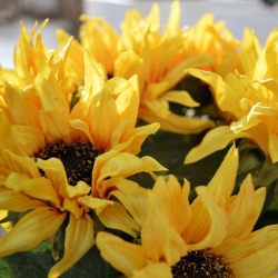 Ramo artificiale di girasole S Deluxe 50 cm