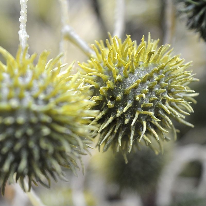 Ramo di cardo artificiale 85 cm verde