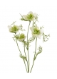 Nigella ramo artificiale 55 cm crema