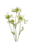 Nigella ramo artificiale 55 cm crema