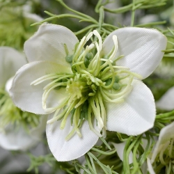 Nigella ramo artificiale 55 cm crema