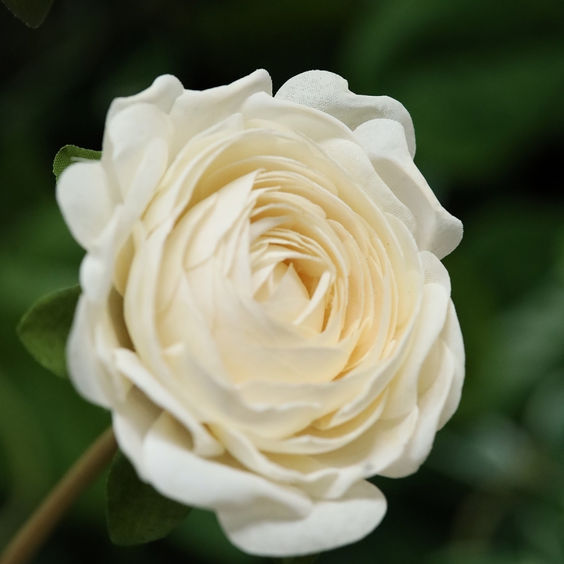 Ramo artificiale di Ranunculus 60 cm crema