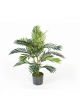 3' Areca palm w/pot 90-180 cm