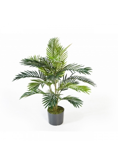 3' Areca palm w/pot 90-180 cm