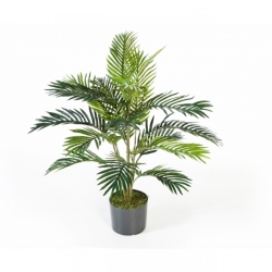 3' Areca palm w/pot 90-180 cm