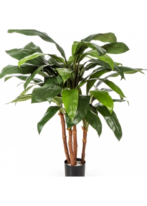 3' CORDYLINE BUSH TREE 90 cm