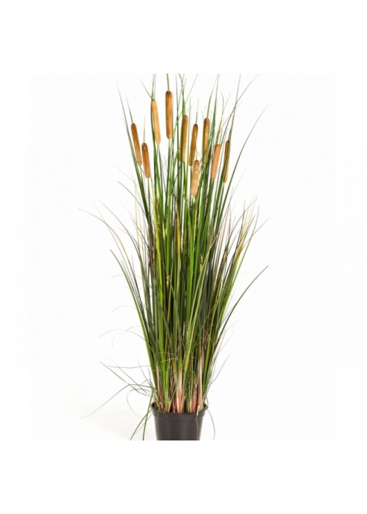 4' Cattail Grass w/Brown Flowers 120 cm