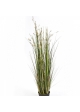 4' Coral Grass w/Cream Flowers 120 cm