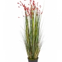 4\' Coral Grass w/Red Flowers 120 cm