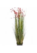 4' Coral Grass w/Red Flowers 120 cm