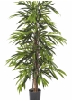4' DELUXE LONGIFOLIA TREE 120-210 cm