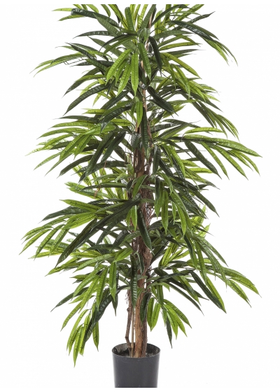4' DELUXE LONGIFOLIA TREE 120-210 cm