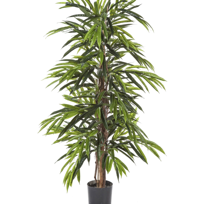 4' DELUXE LONGIFOLIA TREE 120-210 cm
