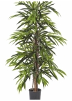 4' DELUXE LONGIFOLIA TREE 120-210 cm