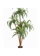 4' DRACAENA TREE 120-150 cm