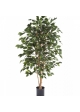 4' Flame Retardant Ficus Exotica 120-180 cm