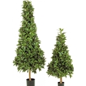4\' LAUREL PYRAMIDE DE LUXE 110-170 cm