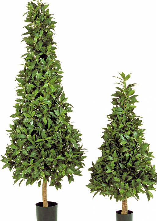 4' LAUREL PYRAMIDE DE LUXE 110-170 cm