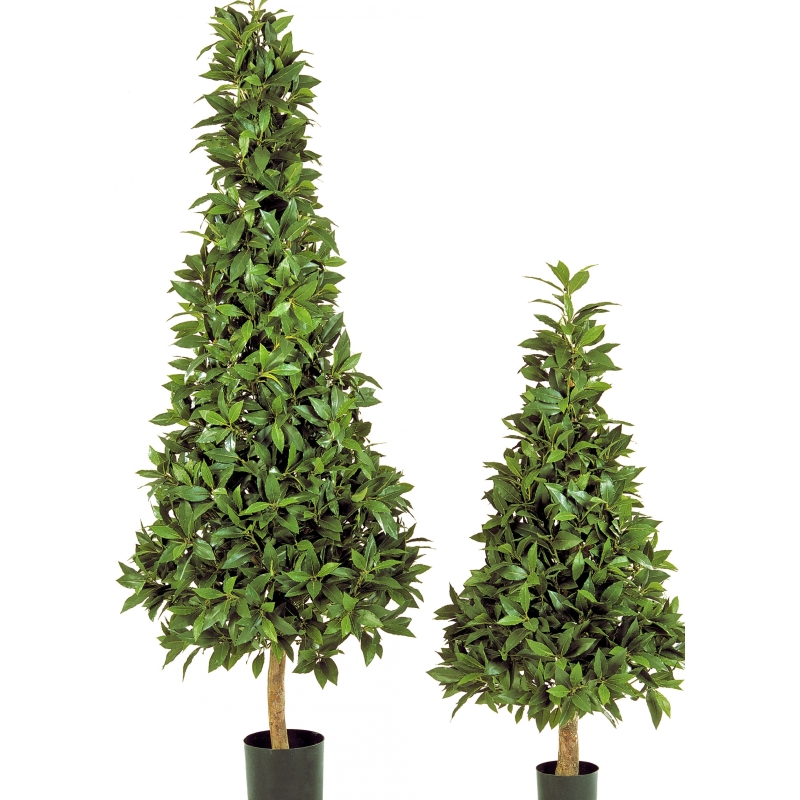 4' LAUREL PYRAMIDE DE LUXE 110-170 cm