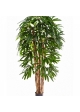 4' NATURAL RAPHIS PALM 110-230 cm