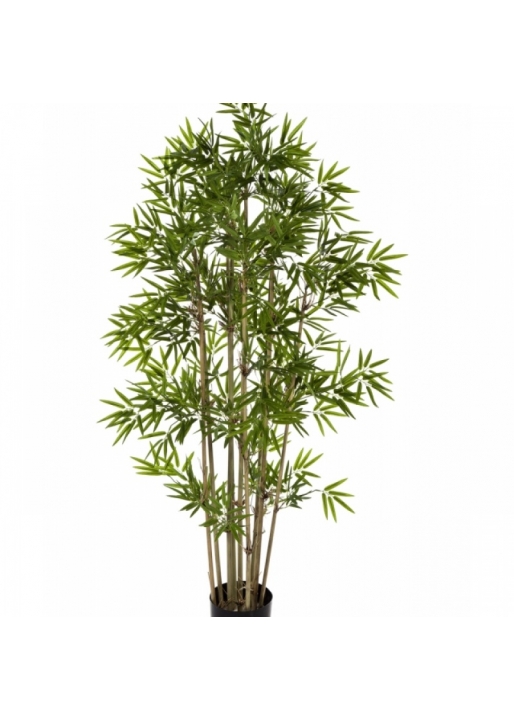 4' NEW JAPANESE BAMBOO 110-230 cm