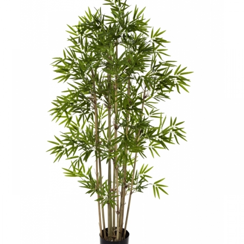 4' NEW JAPANESE BAMBOO 110-230 cm