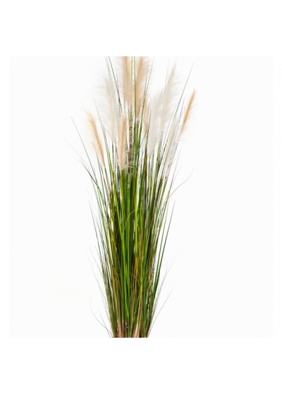 4' REED GRASS W/CREAM-BROWN FL 120 cm