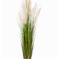 4' REED GRASS W/CREAM-BROWN FL 120 cm
