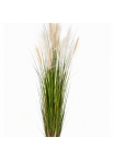 4' REED GRASS W/CREAM-BROWN FL 120 cm
